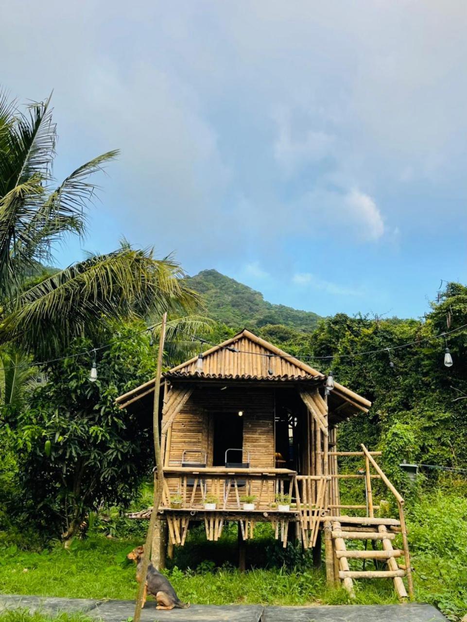 Con Dao Backpacker - Loco Camping Chi Khu Co Ong Extérieur photo